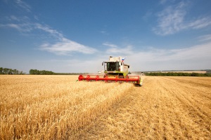 Экспорт аграрной продукции Украины в Европу существенно вырос за первый квартал